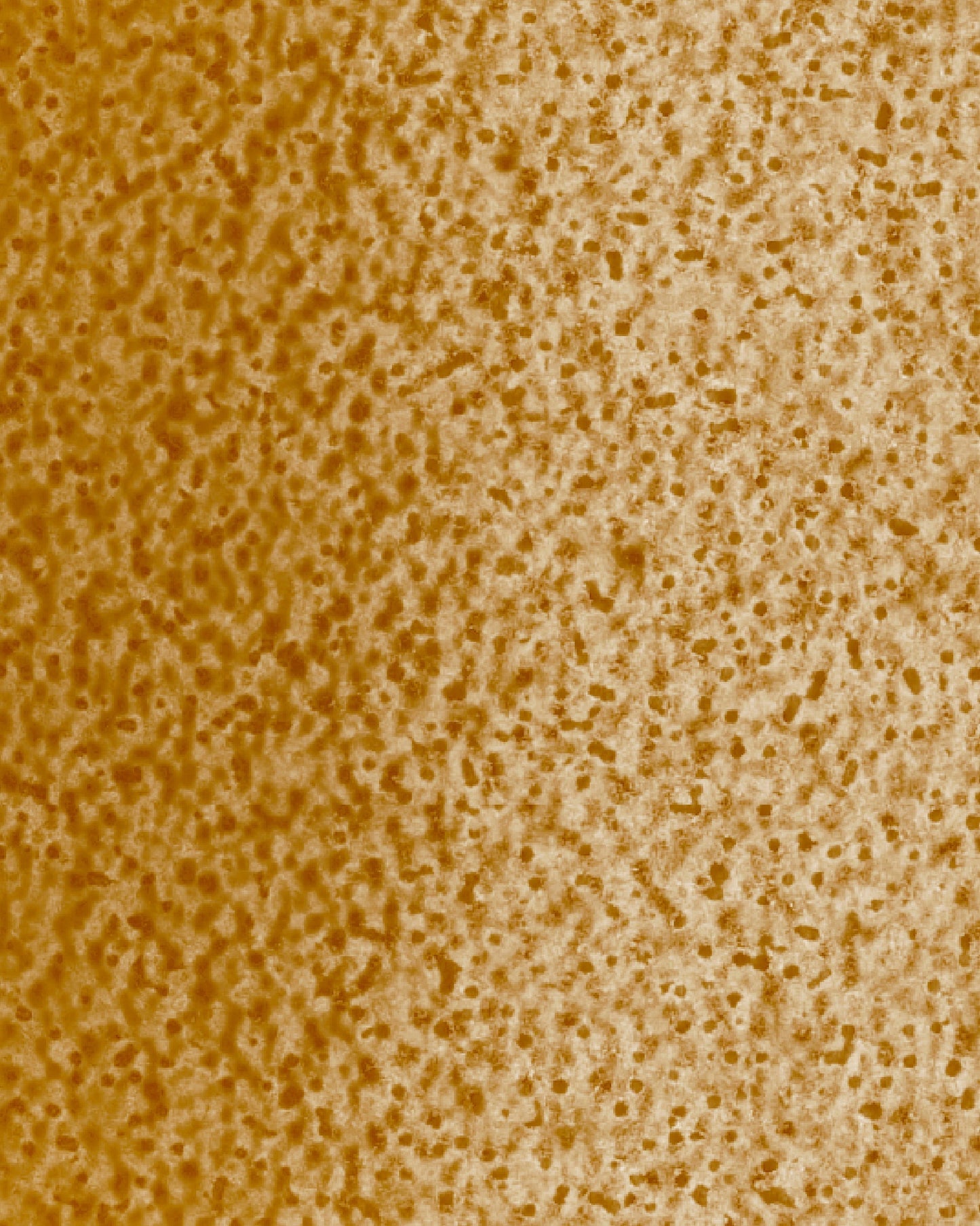 The Bestsellers Set